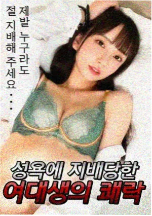纪实题材剧集多语种字幕索引卡封面